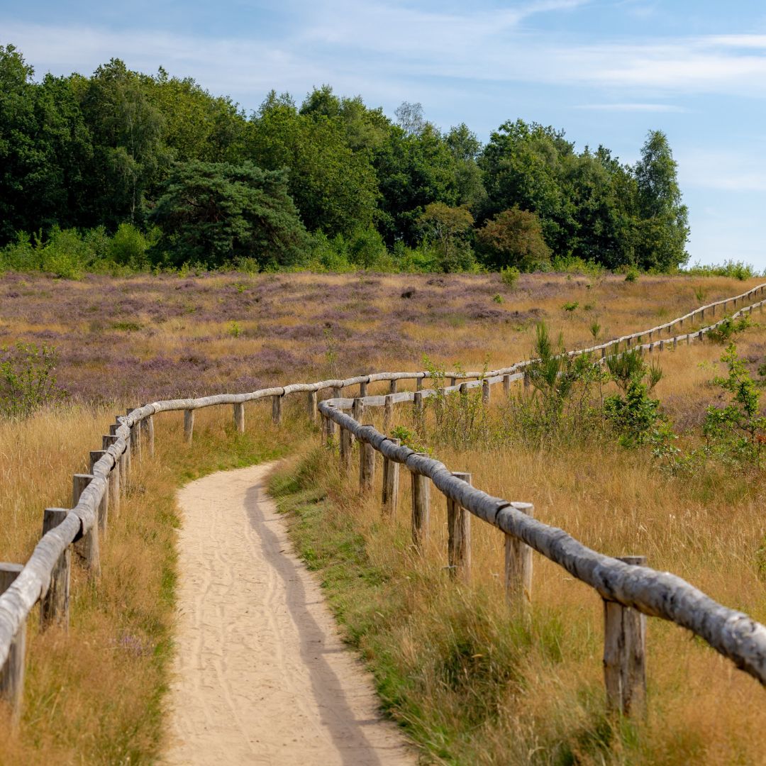 Popular Destination Drenthe